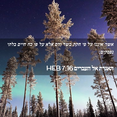 Picture 02 - האגרת אל העברים 7:16 HEB - אשר איננו על פי חקת בשר ודם - Bible Verse Picture