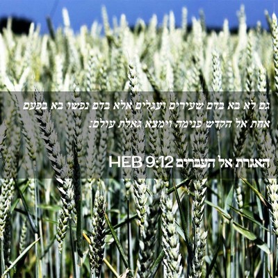 Picture 02 - האגרת אל העברים 9:12 HEB - גם לא בא בדם שעירים ועגלים - Bible Verse Picture
