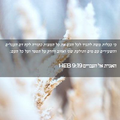 Picture 02 - האגרת אל העברים 9:19 HEB - כי ככלות משה להגיד לכל העם - Bible Verse Picture