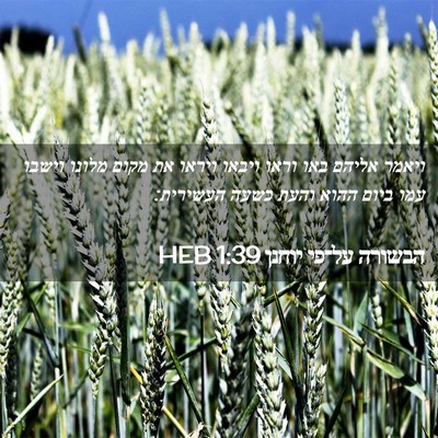 Picture 02 - הבשורה על־פי יוחנן 1:39 HEB - ויאמר אליהם באו וראו ויבאו - Bible Verse Picture