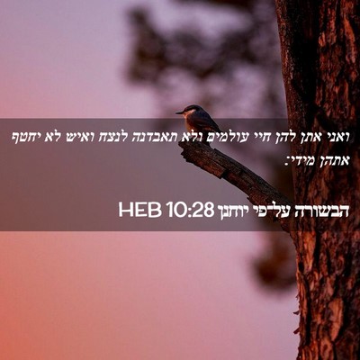 Picture 02 - הבשורה על־פי יוחנן 10:28 HEB - ואני אתן להן חיי עולמים ולא - Bible Verse Picture