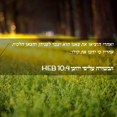 Picture 02 - הבשורה על־פי יוחנן 10:4 HEB - ואחרי הוציאו את צאנו הוא - Bible Verse Picture