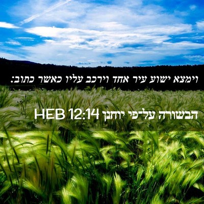 Picture 02 - הבשורה על־פי יוחנן 12:14 HEB - וימצא ישוע עיר אחד וירכב - Bible Verse Picture