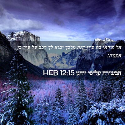 Picture 02 - הבשורה על־פי יוחנן 12:15 HEB - אל תיראי בת ציון הנה מלכך - Bible Verse Picture