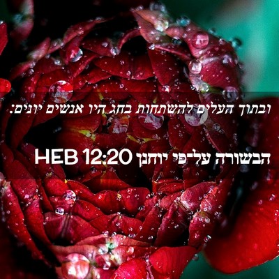 Picture 02 - הבשורה על־פי יוחנן 12:20 HEB - ובתוך העלים להשתחות בחג - Bible Verse Picture