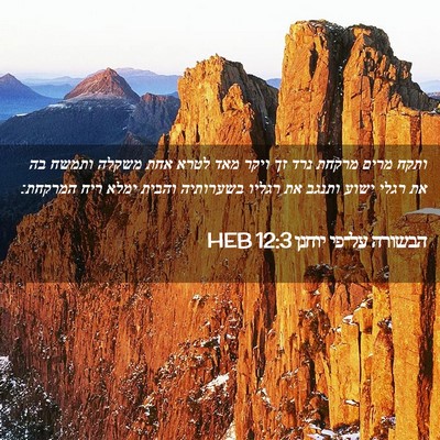 Picture 02 - הבשורה על־פי יוחנן 12:3 HEB - ותקח מרים מרקחת נרד זך ויקר - Bible Verse Picture