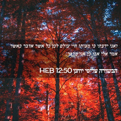 Picture 02 - הבשורה על־פי יוחנן 12:50 HEB - ואני ידעתי כי מצותו חיי - Bible Verse Picture