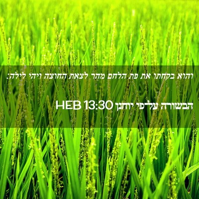 Picture 02 - הבשורה על־פי יוחנן 13:30 HEB - והוא בקחתו את פת הלחם מהר - Bible Verse Picture