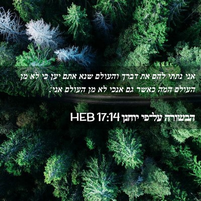 Picture 02 - הבשורה על־פי יוחנן 17:14 HEB - אני נתתי להם את דברך והעולם - Bible Verse Picture