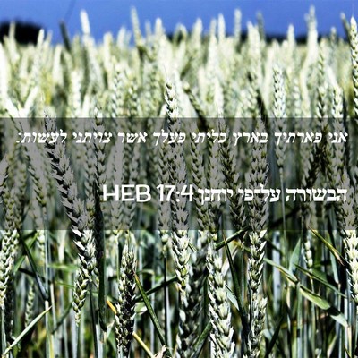 Picture 02 - הבשורה על־פי יוחנן 17:4 HEB - אני פארתיך בארץ כליתי פעלך - Bible Verse Picture