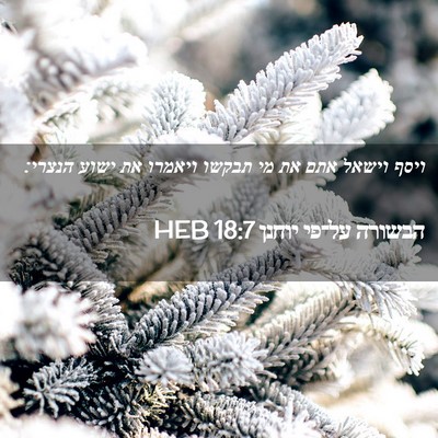Picture 02 - הבשורה על־פי יוחנן 18:7 HEB - ויסף וישאל אתם את מי תבקשו - Bible Verse Picture