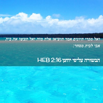 Picture 02 - הבשורה על־פי יוחנן 2:16 HEB - ואל מכרי היונים אמר הוציאו - Bible Verse Picture
