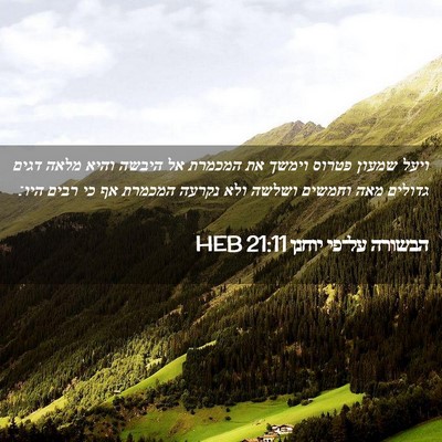 Picture 02 - הבשורה על־פי יוחנן 21:11 HEB - ויעל שמעון פטרוס וימשך את - Bible Verse Picture