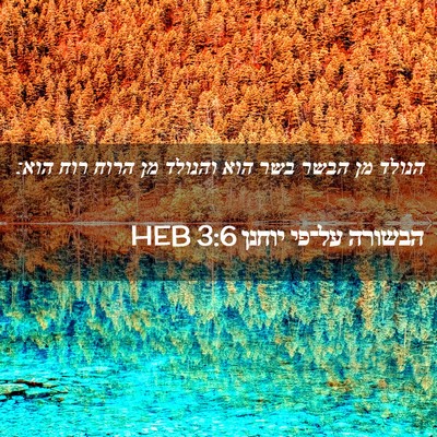 Picture 02 - הבשורה על־פי יוחנן 3:6 HEB - הנולד מן הבשר בשר הוא - Bible Verse Picture