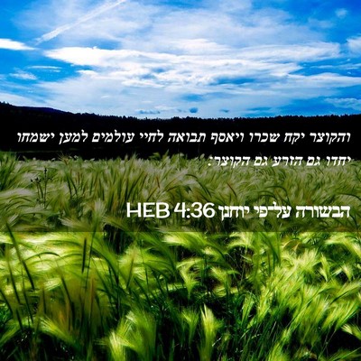 Picture 02 - הבשורה על־פי יוחנן 4:36 HEB - והקוצר יקח שכרו ויאסף - Bible Verse Picture