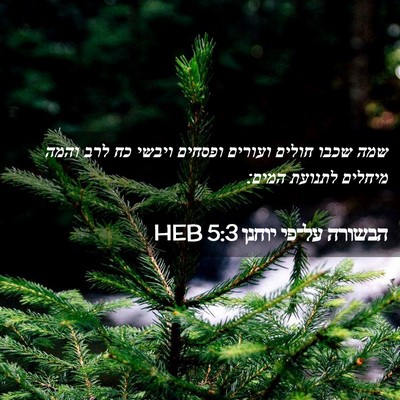 Picture 02 - הבשורה על־פי יוחנן 5:3 HEB - שמה שכבו חולים ועורים - Bible Verse Picture