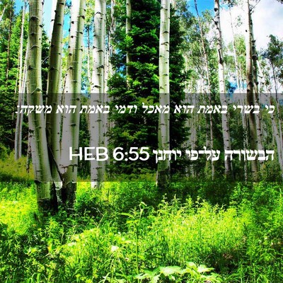 Picture 02 - הבשורה על־פי יוחנן 6:55 HEB - כי בשרי באמת הוא מאכל ודמי - Bible Verse Picture