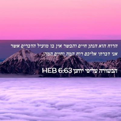 Picture 02 - הבשורה על־פי יוחנן 6:63 HEB - הרוח הוא הנתן חיים והבשר - Bible Verse Picture
