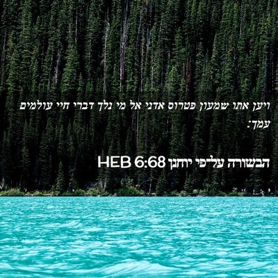 Picture 02 - הבשורה על־פי יוחנן 6:68 HEB - ויען אתו שמעון פטרוס אדני - Bible Verse Picture