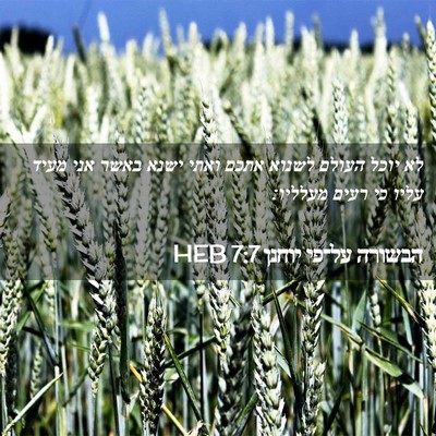 Picture 02 - הבשורה על־פי יוחנן 7:7 HEB - לא יוכל העולם לשנוא אתכם - Bible Verse Picture