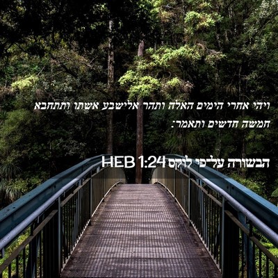 Picture 02 - הבשורה על־פי לוקס 1:24 HEB - ויהי אחרי הימים האלה ותהר - Bible Verse Picture