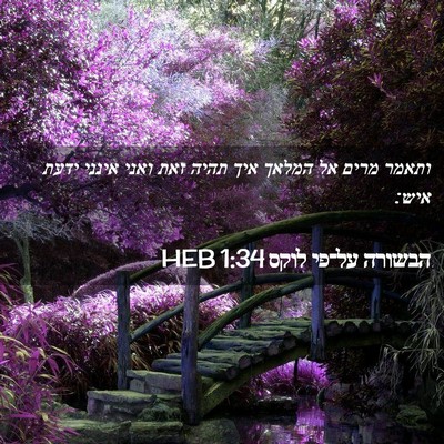 Picture 02 - הבשורה על־פי לוקס 1:34 HEB - ותאמר מרים אל המלאך איך - Bible Verse Picture