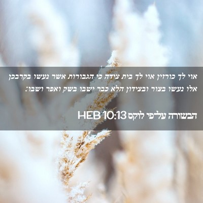 Picture 02 - הבשורה על־פי לוקס 10:13 HEB - אוי לך כורזין אוי לך בית - Bible Verse Picture