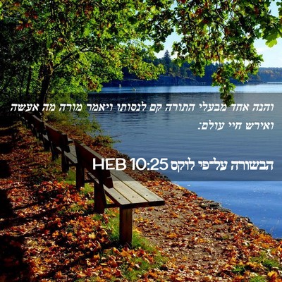 Picture 02 - הבשורה על־פי לוקס 10:25 HEB - והנה אחד מבעלי התורה קם - Bible Verse Picture