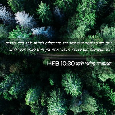 Picture 02 - הבשורה על־פי לוקס 10:30 HEB - ויען ישוע ויאמר איש אחד ירד - Bible Verse Picture
