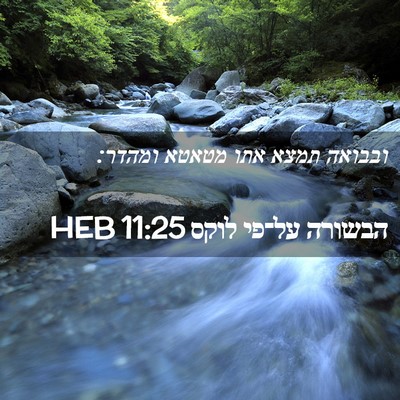 Picture 02 - הבשורה על־פי לוקס 11:25 HEB - ובבואה תמצא אתו מטאטא - Bible Verse Picture
