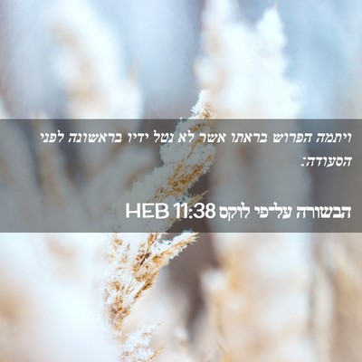 Picture 02 - הבשורה על־פי לוקס 11:38 HEB - ויתמה הפרוש בראתו אשר לא - Bible Verse Picture