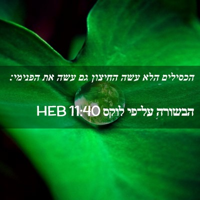 Picture 02 - הבשורה על־פי לוקס 11:40 HEB - הכסילים הלא עשה החיצון גם - Bible Verse Picture
