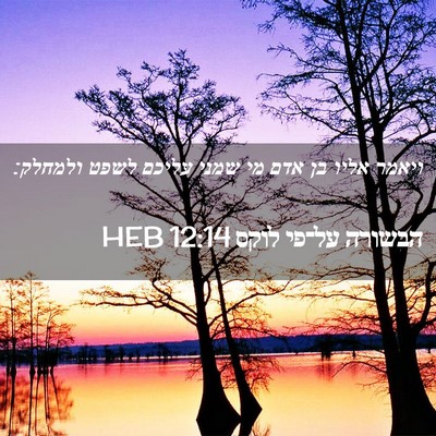 Picture 02 - הבשורה על־פי לוקס 12:14 HEB - ויאמר אליו בן אדם מי שמני - Bible Verse Picture