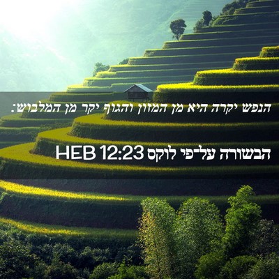 Picture 02 - הבשורה על־פי לוקס 12:23 HEB - הנפש יקרה היא מן המזון - Bible Verse Picture