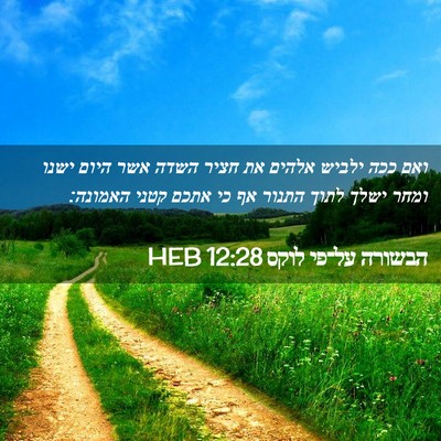 Picture 02 - הבשורה על־פי לוקס 12:28 HEB - ואם ככה ילביש אלהים את חציר - Bible Verse Picture