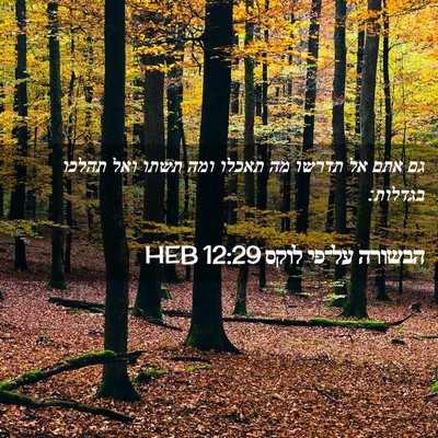 Picture 02 - הבשורה על־פי לוקס 12:29 HEB - גם אתם אל תדרשו מה תאכלו - Bible Verse Picture