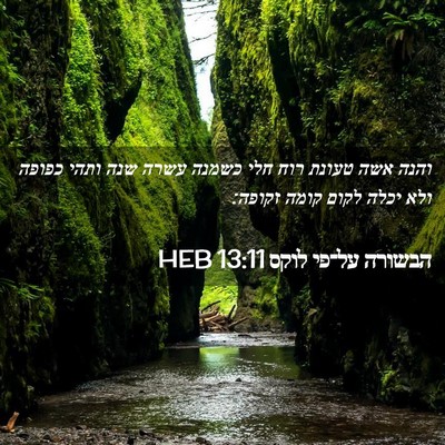 Picture 02 - הבשורה על־פי לוקס 13:11 HEB - והנה אשה טעונת רוח חלי - Bible Verse Picture