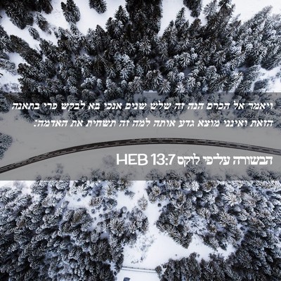 Picture 02 - הבשורה על־פי לוקס 13:7 HEB - ויאמר אל הכרם הנה זה שלש - Bible Verse Picture