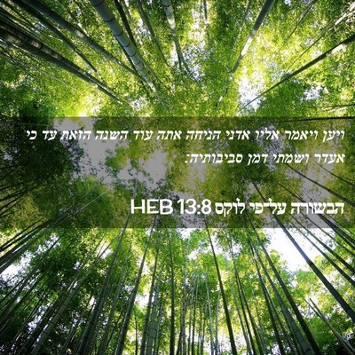 Picture 02 - הבשורה על־פי לוקס 13:8 HEB - ויען ויאמר אליו אדני הניחה - Bible Verse Picture