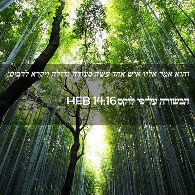 Picture 02 - הבשורה על־פי לוקס 14:16 HEB - והוא אמר אליו איש אחד עשה - Bible Verse Picture