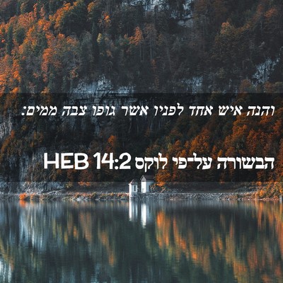 Picture 02 - הבשורה על־פי לוקס 14:2 HEB - והנה איש אחד לפניו אשר גופו - Bible Verse Picture