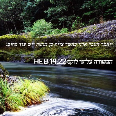 Picture 02 - הבשורה על־פי לוקס 14:22 HEB - ויאמר העבד אדני כאשר צוית - Bible Verse Picture