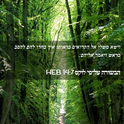 Picture 02 - הבשורה על־פי לוקס 14:7 HEB - וישא משלו אל הקרואים - Bible Verse Picture