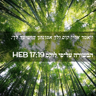 Picture 02 - הבשורה על־פי לוקס 17:19 HEB - ויאמר אליו קום ולך אמונתך - Bible Verse Picture