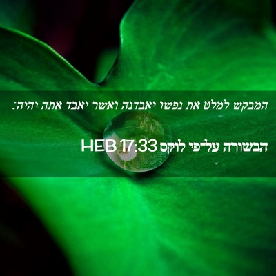 Picture 02 - הבשורה על־פי לוקס 17:33 HEB - המבקש למלט את נפשו יאבדנה - Bible Verse Picture