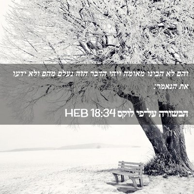Picture 02 - הבשורה על־פי לוקס 18:34 HEB - והם לא הבינו מאומה ויהי - Bible Verse Picture