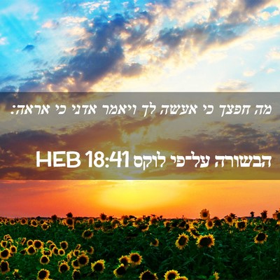 Picture 02 - הבשורה על־פי לוקס 18:41 HEB - מה חפצך כי אעשה לך ויאמר - Bible Verse Picture