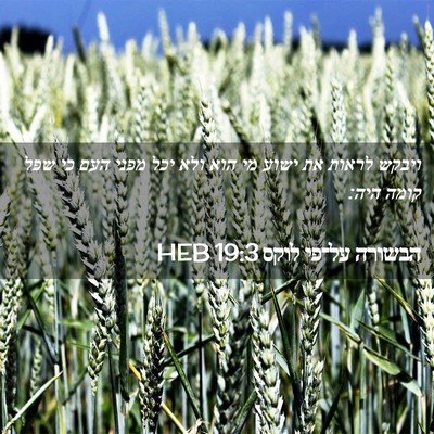 Picture 02 - הבשורה על־פי לוקס 19:3 HEB - ויבקש לראות את ישוע מי הוא - Bible Verse Picture