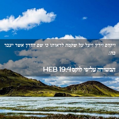 Picture 02 - הבשורה על־פי לוקס 19:4 HEB - ויקדם וירץ ויעל על שקמה - Bible Verse Picture