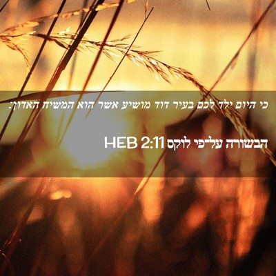 Picture 02 - הבשורה על־פי לוקס 2:11 HEB - כי היום ילד לכם בעיר דוד - Bible Verse Picture